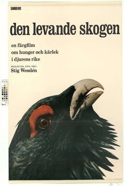 Den levande skogen — постер