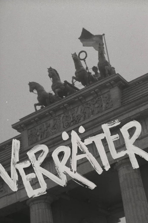 Verräter — постер