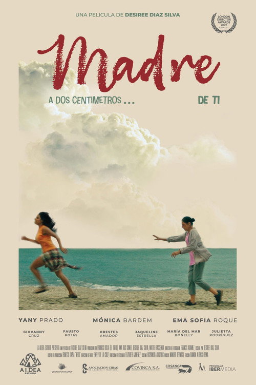 Madre: a dos centímetros de ti — постер