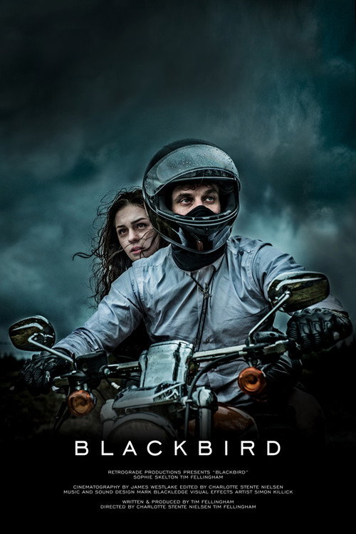 Blackbird — постер
