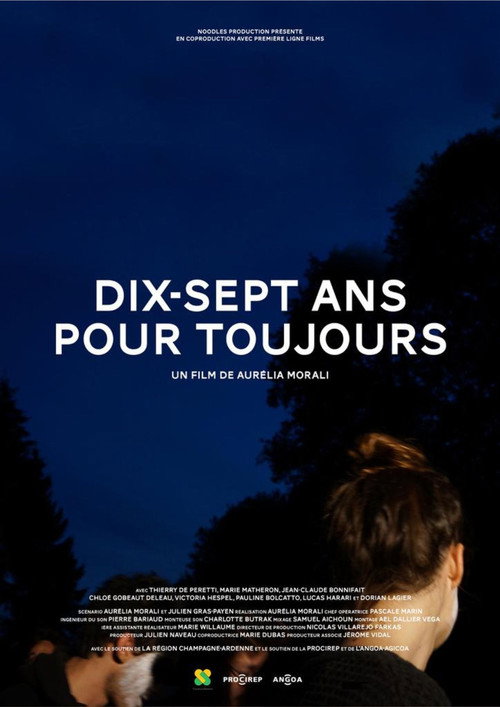 Dix-sept ans pour toujours — постер