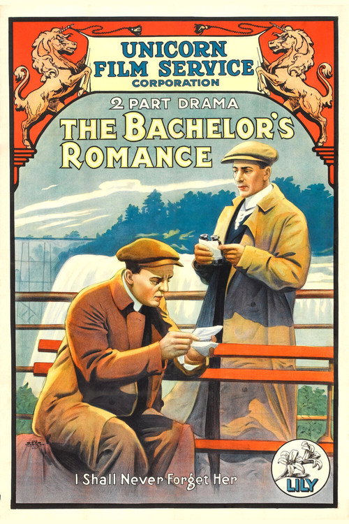 The Bachelor's Romance — постер