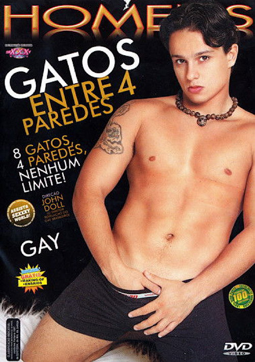 Gatos entre 4 paredes — постер