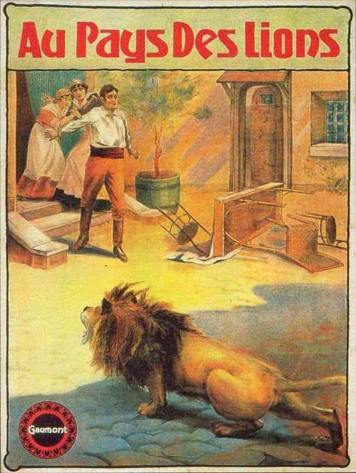 Au pays des lions — постер