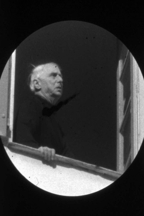Die widerrechtliche Ausübung der Astronomie — постер