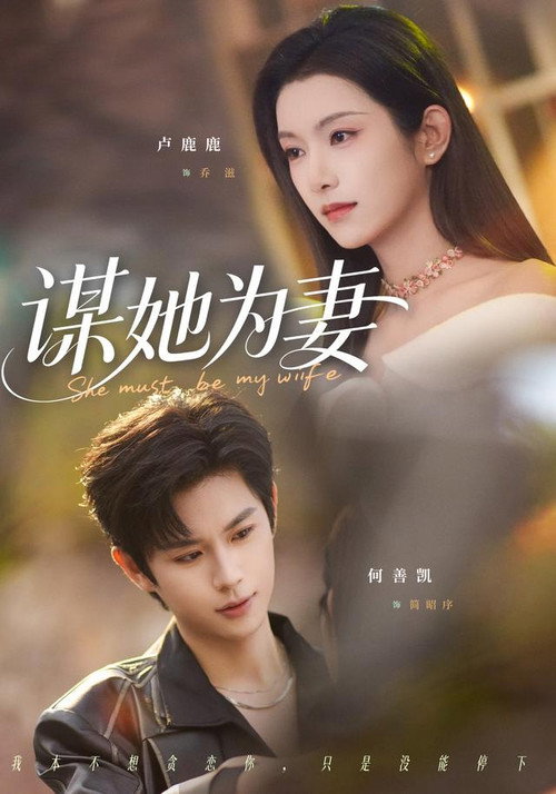 谋她为妻 — постер