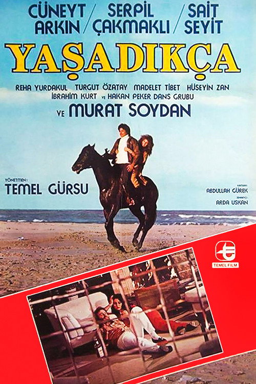 Yaşadıkça — постер