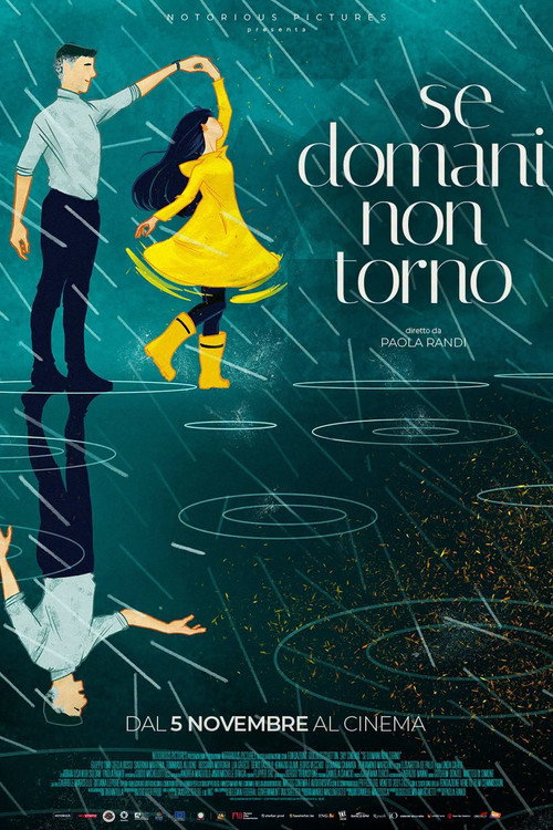 Se domani non torno — постер