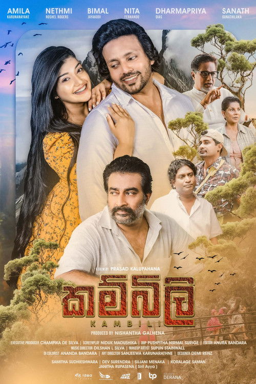 කම්බිලි — постер