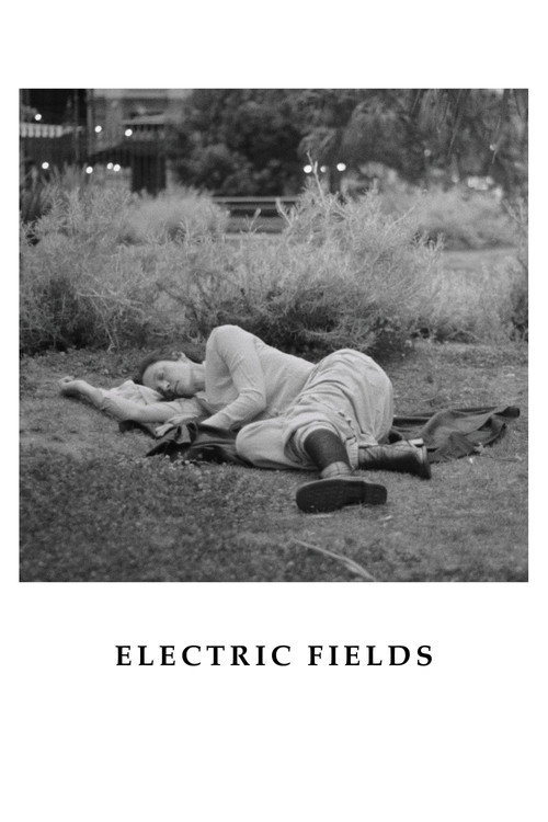 Electric Fields — постер