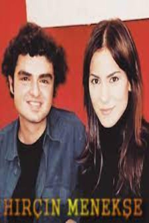 Hırçın Menekşe — постер