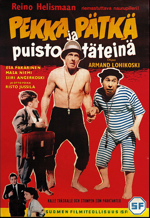 Pekka ja Pätkä puistotäteinä — постер