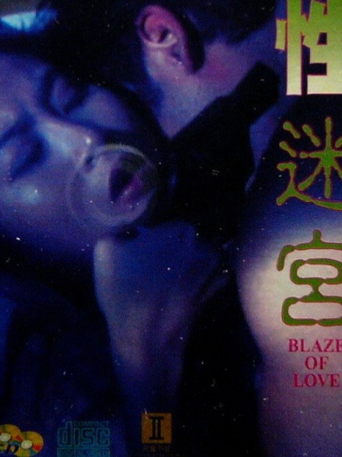 性迷宮 — постер