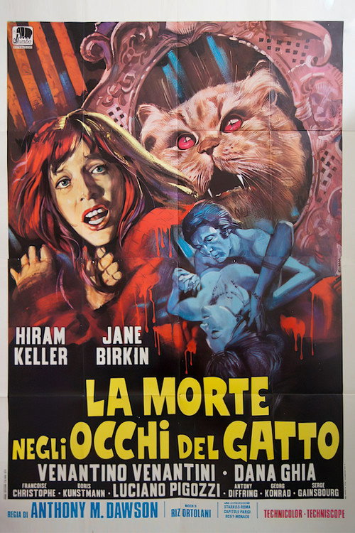 La morte negli occhi del gatto — постер