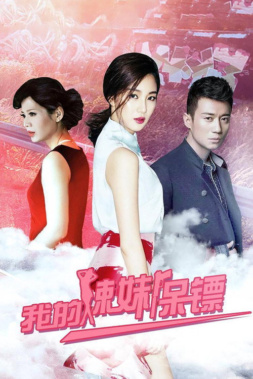 我的辣妹保镖 — постер