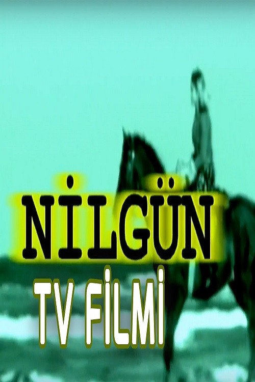 Nilgün — постер