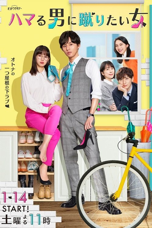 ハマる男に蹴りたい女 — постер