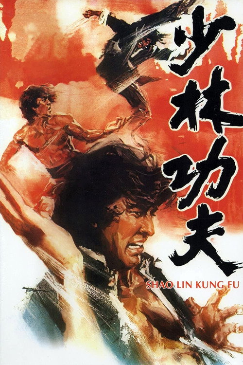 少林功夫 — постер