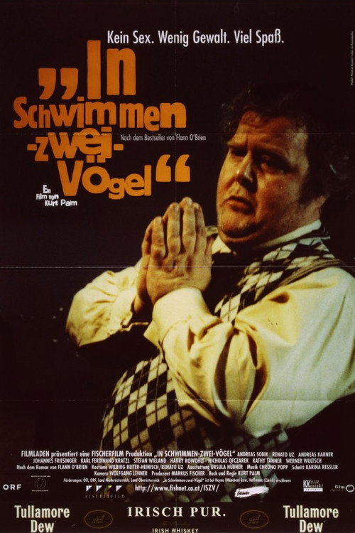 In Schwimmen zwei Vögel — постер