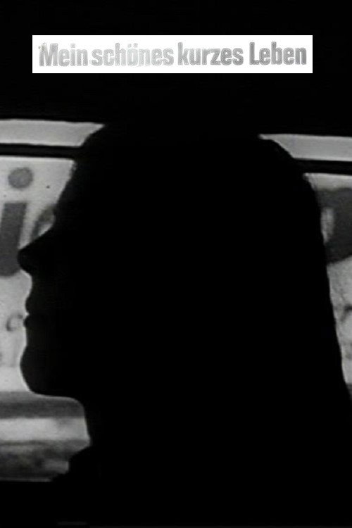 Mein schönes kurzes Leben — постер