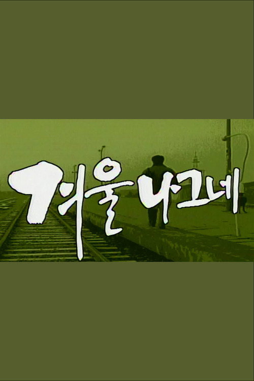 겨울나그네 — постер