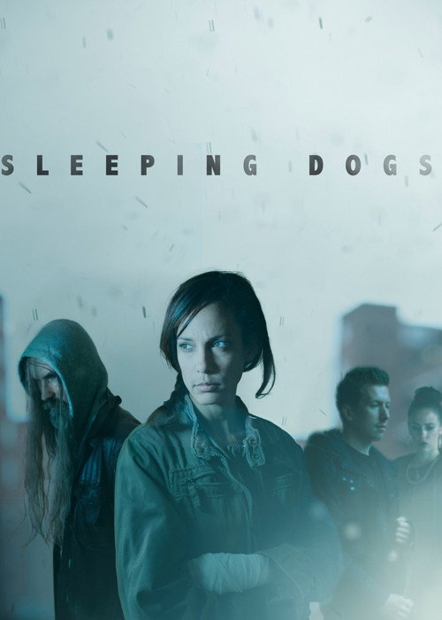 Sleeping Dogs — постер