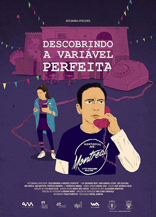 Descobrindo a Variável Perfeita — постер