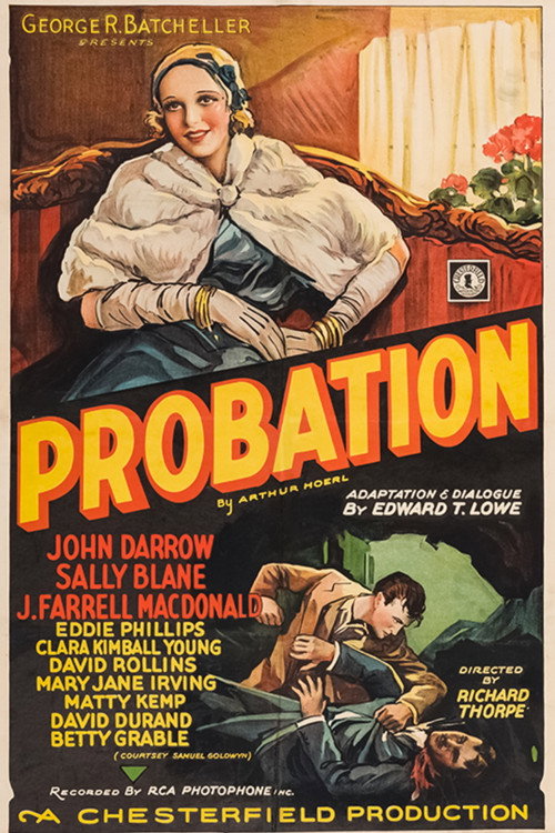 Probation — постер