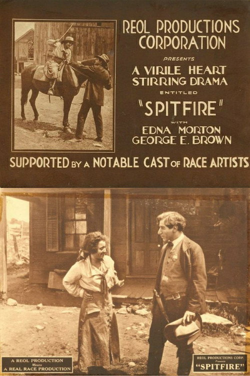 Spitfire — постер