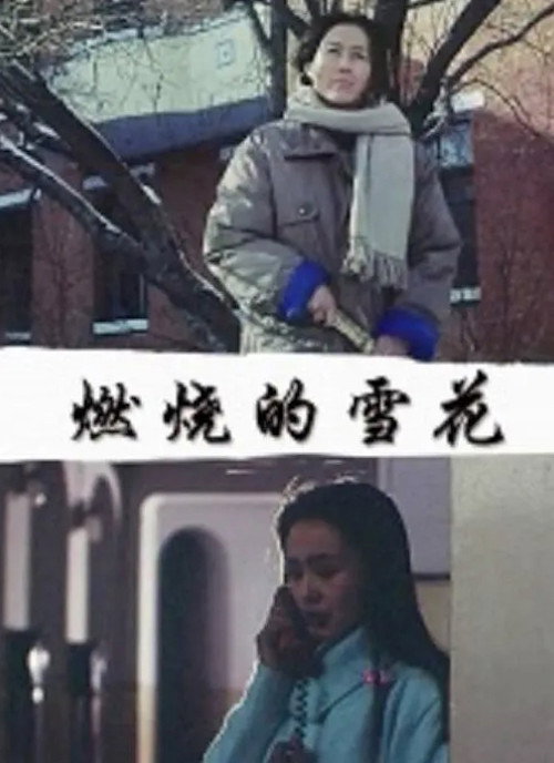 燃烧的雪花 — постер