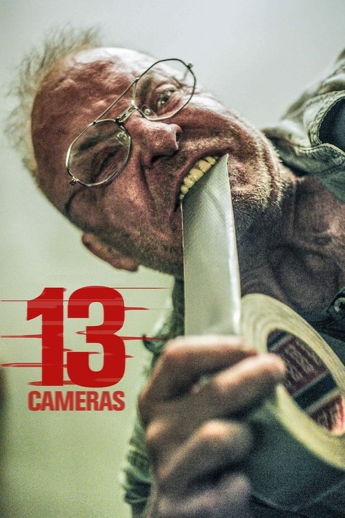 13 камер — постер