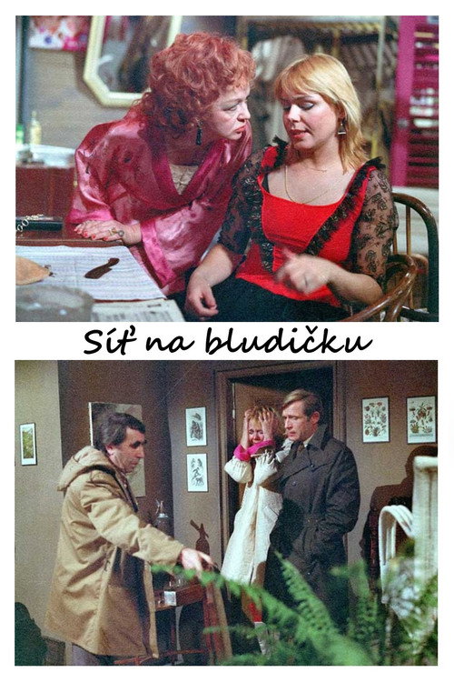 Síť na bludičku — постер