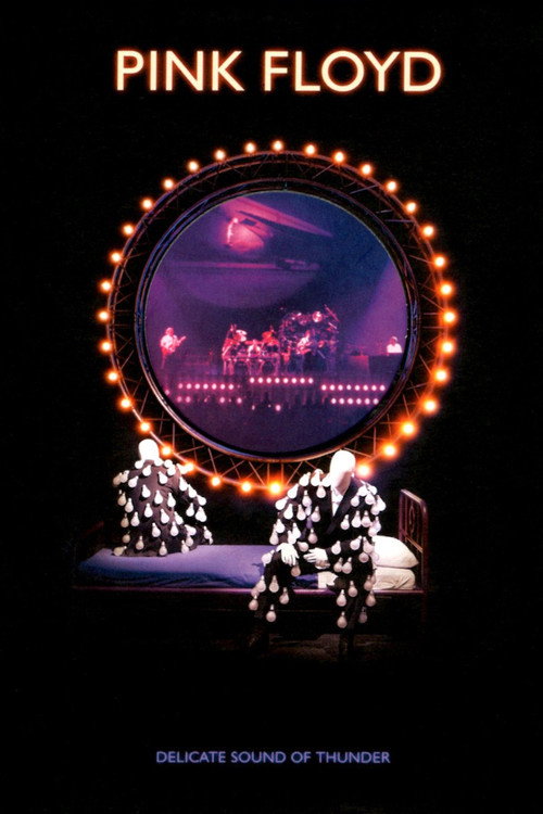 Pink Floyd - Delicate Sound Of Thunder [Remastered] — постер