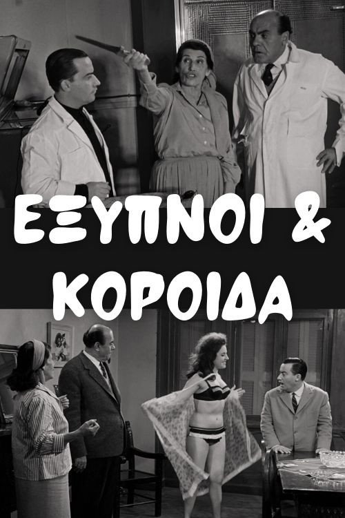 Έξυπνοι και Κορόιδα — постер