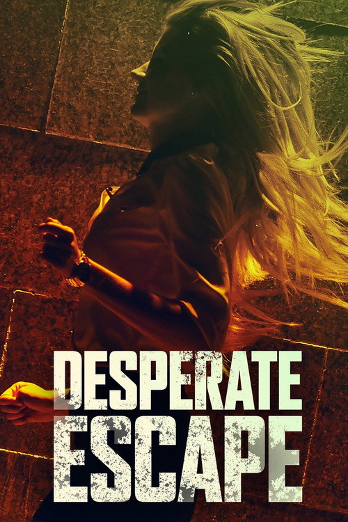 Desperate Escape — постер