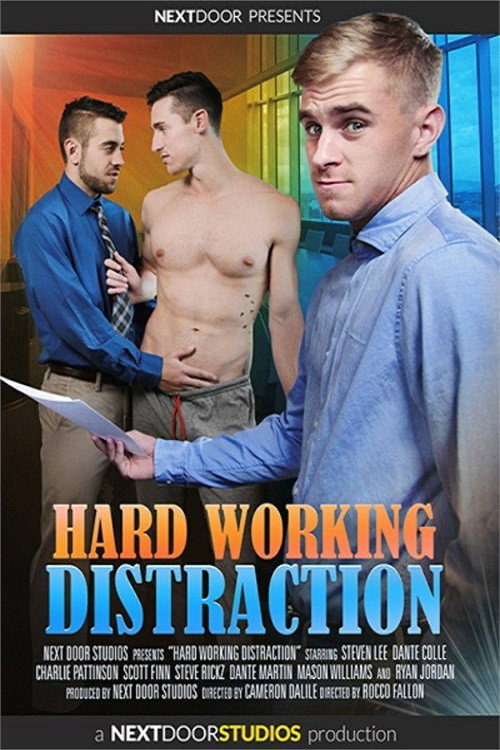 Hard Working Distraction — постер