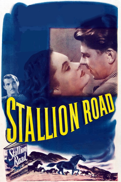 Stallion Road — постер
