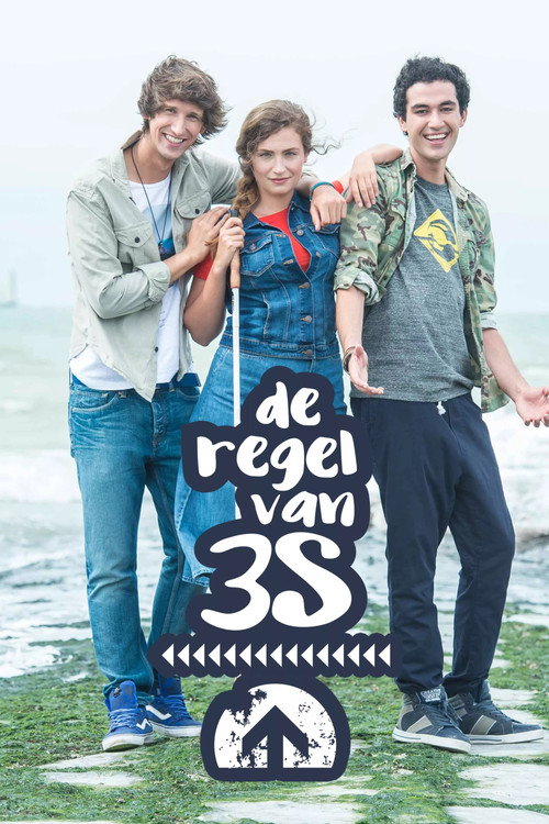 De regel van 3S — постер