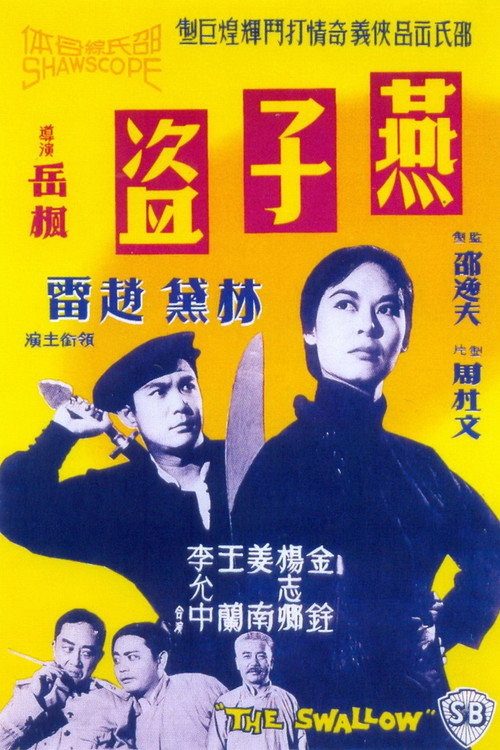 燕子盜 — постер