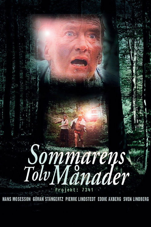 Sommarens Tolv Månader — постер