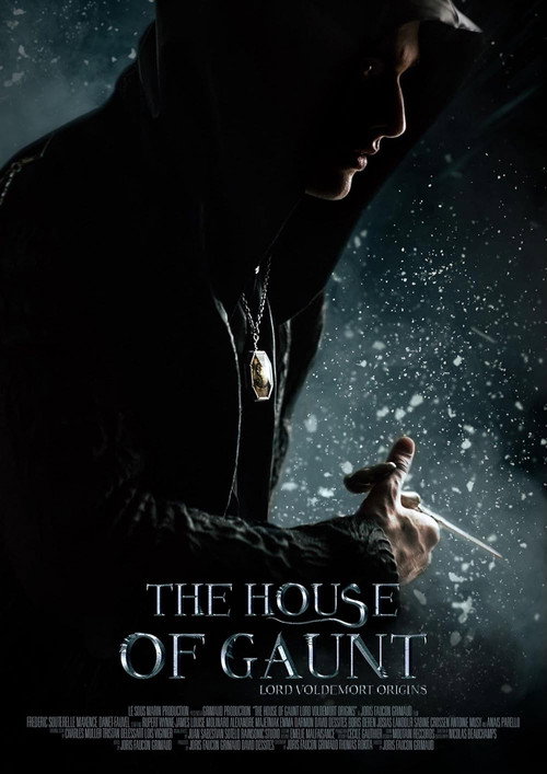The House of Gaunt — постер