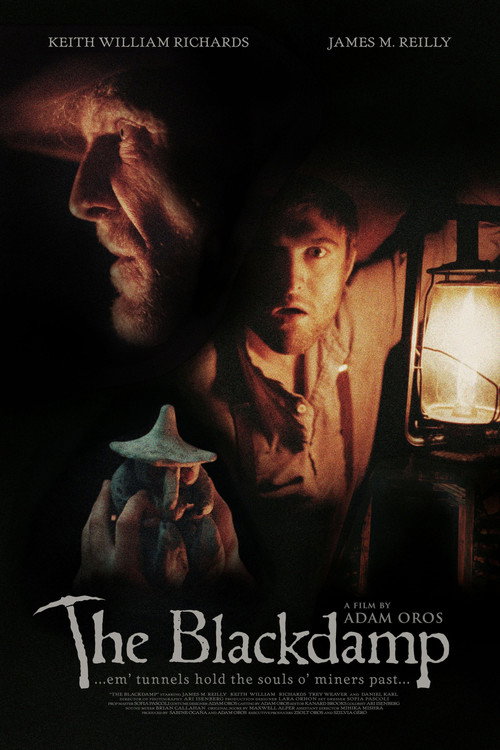 The Blackdamp — постер