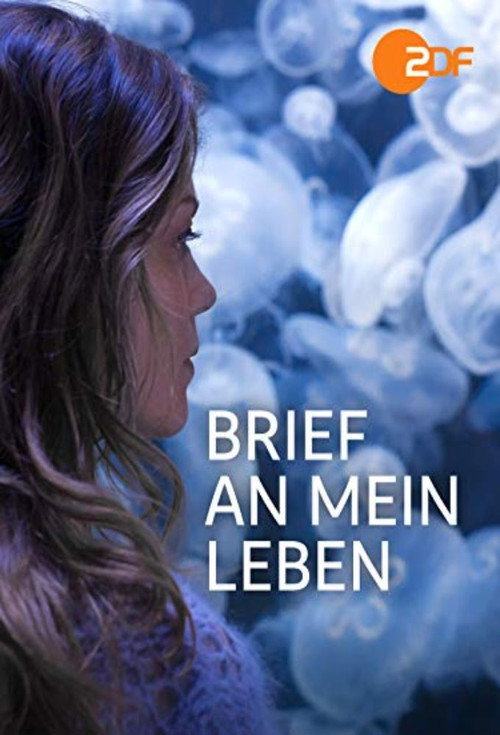 Brief an mein Leben — постер