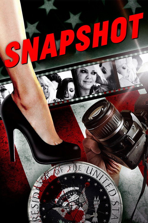 Snapshot — постер