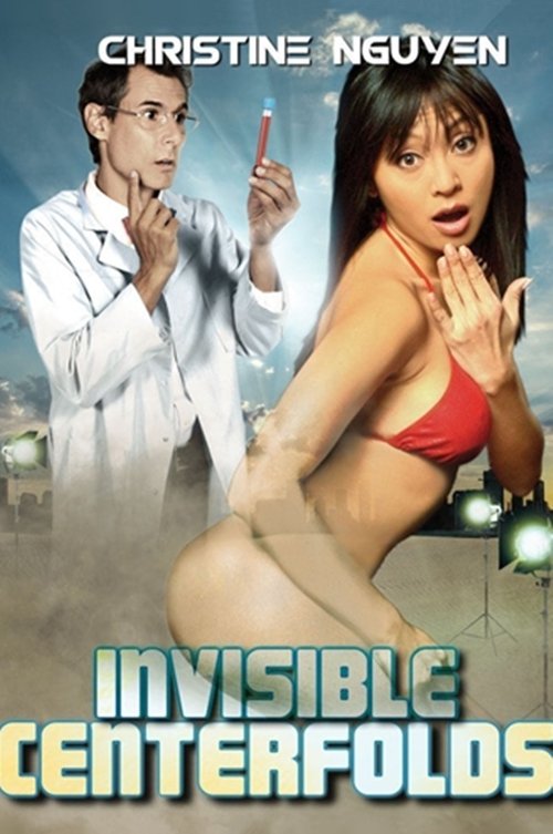 Invisible Centerfolds — постер