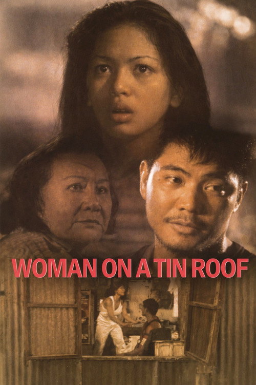 Babae sa Bubungang Lata — постер
