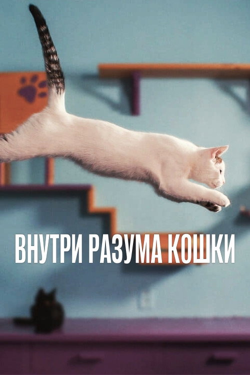 Внутри разума кошки — постер