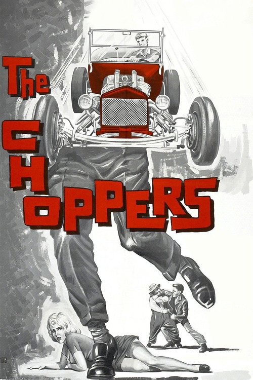 The Choppers — постер