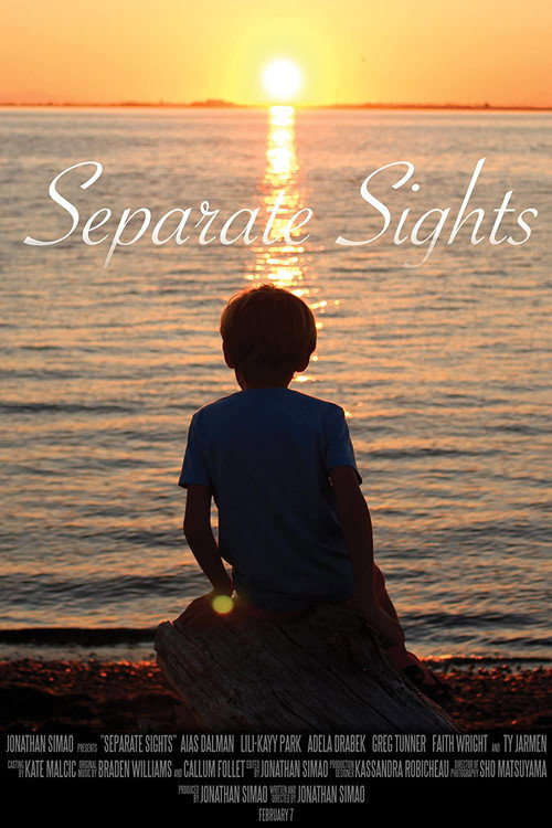Separate Sights — постер