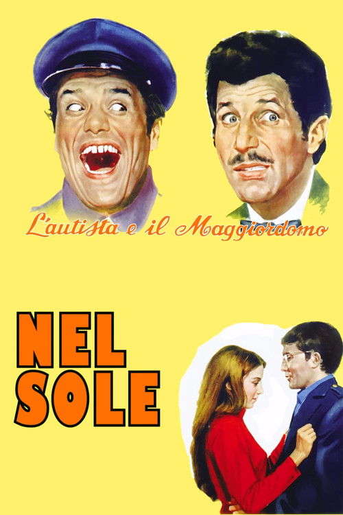 Nel sole — постер